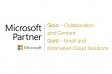 Microsoft partner Gold/Gold