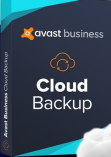 Avast Business Cloud Backup 